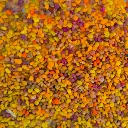 pollen.webp