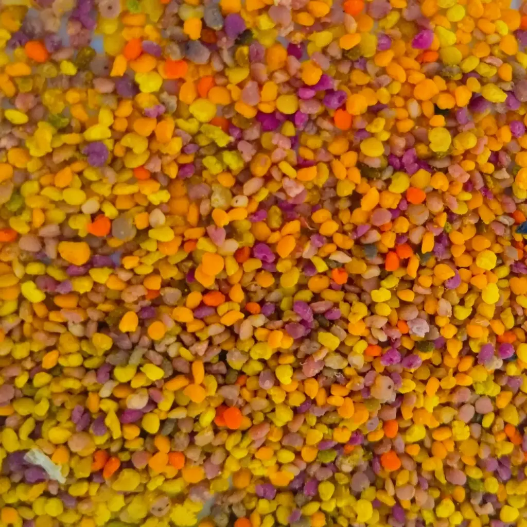Pollen frais (125g)
