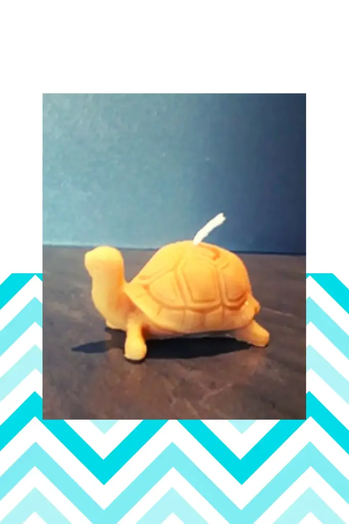 Bougie Tortue