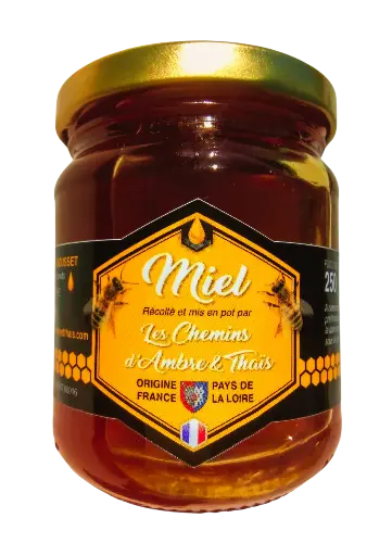 Miel de cassis 250g