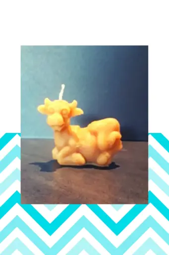 Bougie Vache