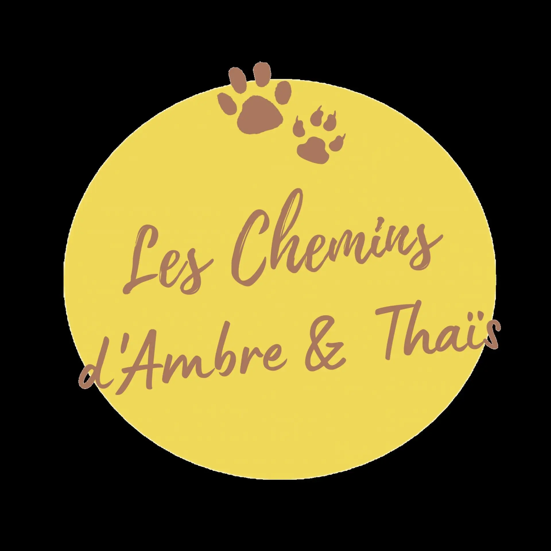 lcat-apiculture